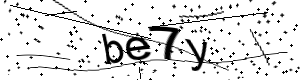 Bestätigungs-Code